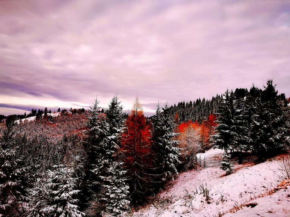 Hotel Antal Kulcsosház Gyimesfelsőlok Esterno foto