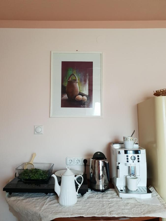 Hotel Antal Kulcsosház Gyimesfelsőlok Esterno foto
